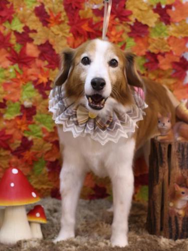 20241120レオくん